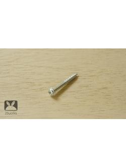 สกรูงานไม้ 29 mm ถุงละ 100 ตัว