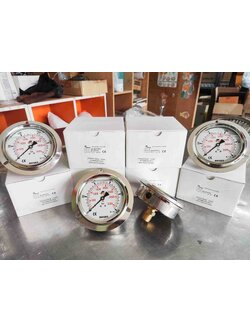 เกจวัดแรงดัน (Pressure Gauge) ขนาดหน้าปัด 4นิ้ว เกลียวขนาด1/2 วัดแรงดัน 0-250