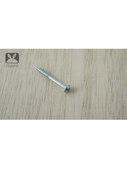 สกรูงานไม้ 39 mm ถุงละ 100 ตัว