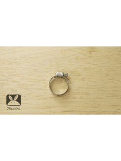 เข็มขัดรัดสาย 16-25 mm แบบแบน แสตนเลส 304