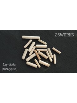 เดือยไม้กลม ยูคาลิปตัส ถุงละ 100 ตัว เลือกขนาดด้านใน