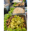 Foodstall : ซุ้มอาหาร ออกร้าน