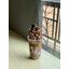 ชุดเปิดร้านน้ำผลไม้ปั่น สมูทตี้ smoothies