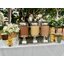 รับออกบูธชานม นมสด VARIETY DRINKS วาไรตี้เครื่องดื่ม