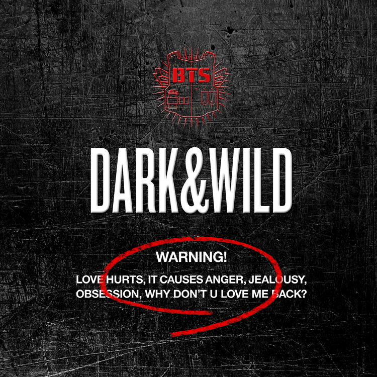 [Pre] BTS : 1st Album - DARK & WILD