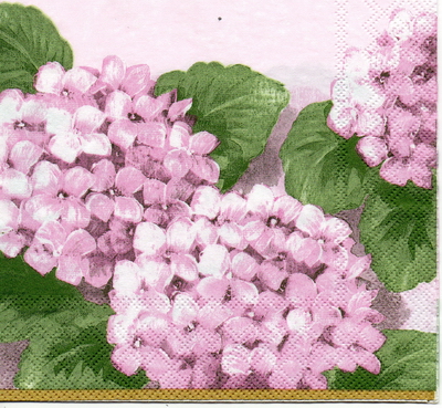 แนวภาพดอกไม้ ไฮเดรนเยีย สีชมพู Hydrangea เป็นภาพแนวยาว กระดาษแนพกิ้นสำหรับทำงาน เดคูพาจ Decoupage Paper Napkins ขนาด 33X33cm