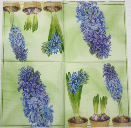แนวภาพดอกไม้ หัวไฮยาซิน สีฟ้า ในกระถาง Hyacinth เป็นภาพครึ่งแผ่น กระดาษแนพกิ้นสำหรับทำงาน เดคูพาจ Decoupage Paper Napkins ขนาด 33X33cm