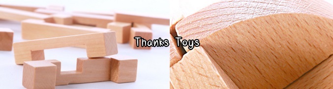 ชุดกลไม้ปริศนา 6 ชิ้น (Intelligence Toy)