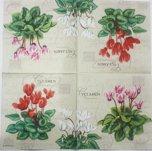 แนวภาพดอกไม้ ดอกไซคลาเมน ขาว ชมพู แดง Cyclamen เป็นภาพแนวยาว กระดาษแนพกิ้นสำหรับทำงาน เดคูพาจ Decoupage Paper Napkins ขนาด 33X33cm