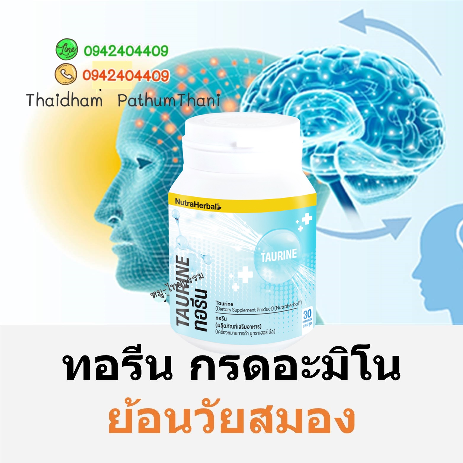 ทอรีน วิตามินย้อนวัยสมอง ทำให้เซลล์ทุกเซลล์ในร่างกายมีพลังงานมากขึ้น