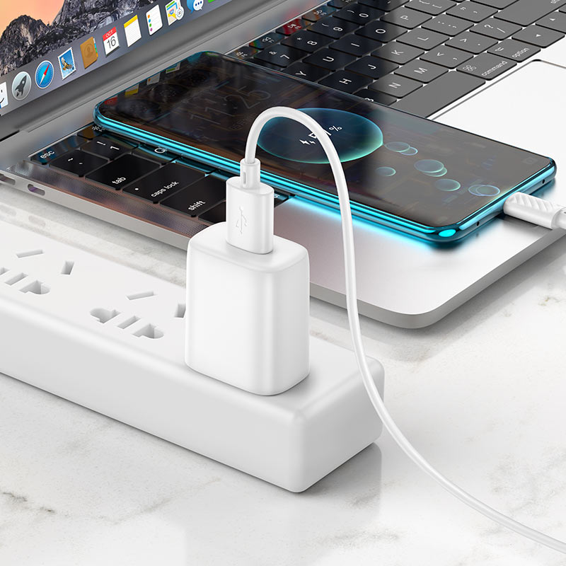 หัวชาร์จพร้อมสายชาร์จ Hoco C134 Solid USB-A 5V / 2.4A wall charger with 1m Type-C