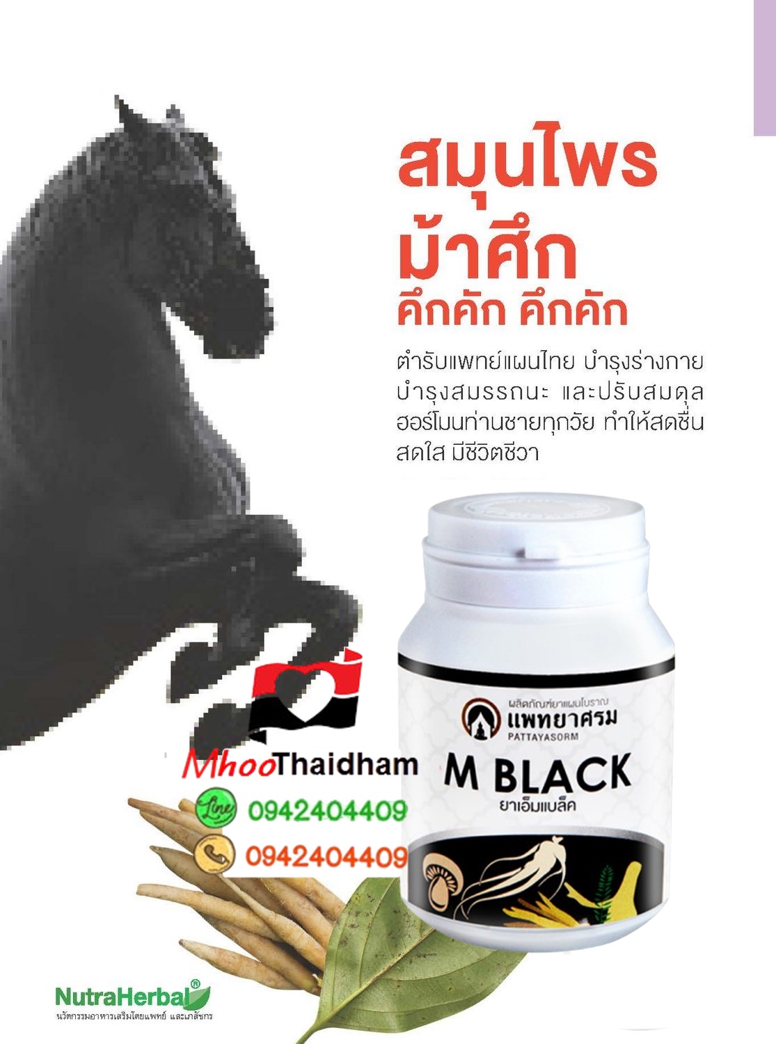 ยาเอ็มแบล็ค สมุนไพร-อาหารเสริมผู้ชาย ย้อยวัยหนุ่มกลับมาแบบม้าศึก บำรุงร่างกาย บำรุงสมรรถนะ ปรับสมดุลฮอร์โมนท่านชายทุกวัย