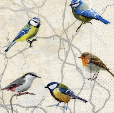 แนวภาพสัตว์ นก เกาะกิ่งไม้ Bird Pop Art เป็นภาพครึ่งแผ่น กระดาษแนพกิ้นสำหรับทำงาน เดคูพาจ Decoupage Paper Napkins ขนาด 33X33cm