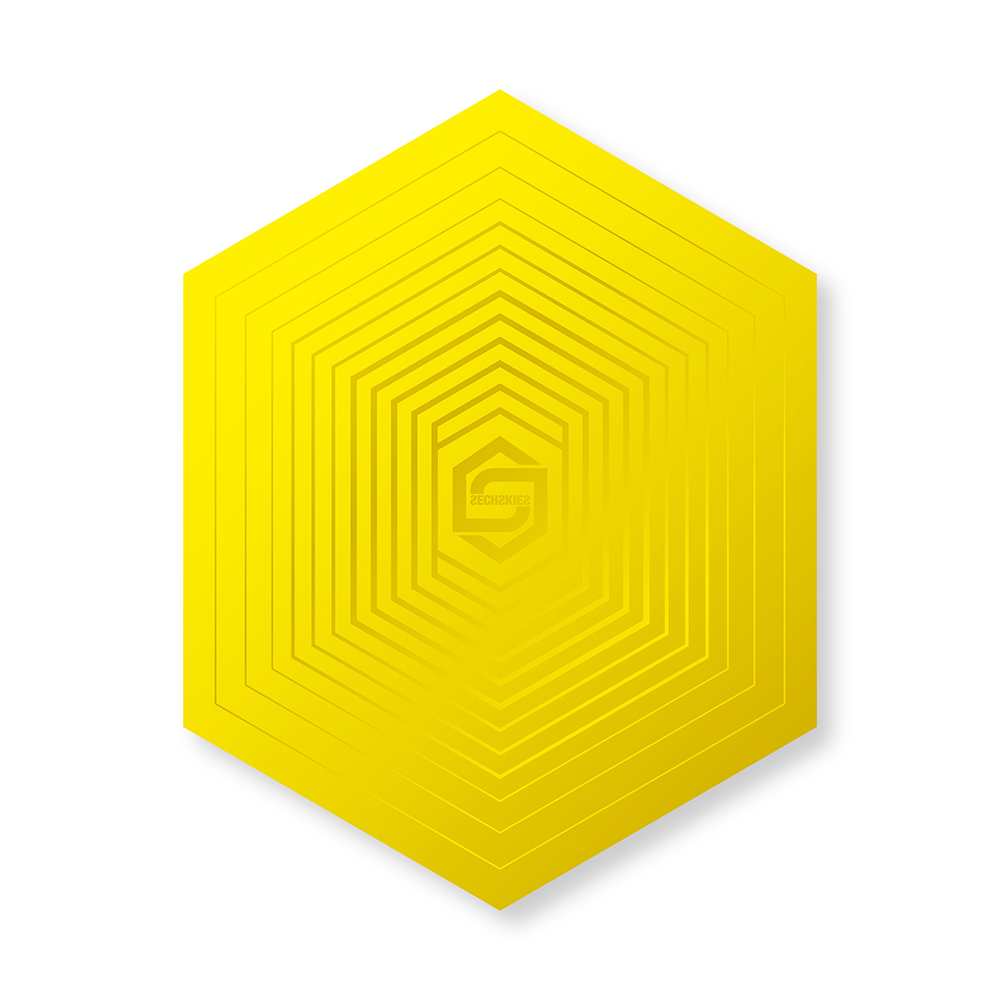 [Pre] SECHSKIES : 2017 - YELLOW NOTE FINAL IN SEOUL DVD +Poster