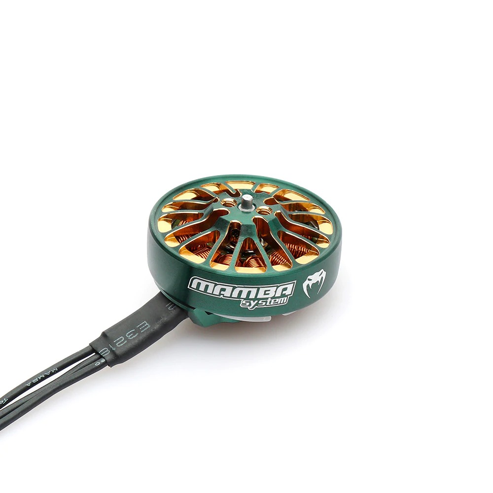 Diatone MAMBA TOKA 2004 2900KV 3-4S