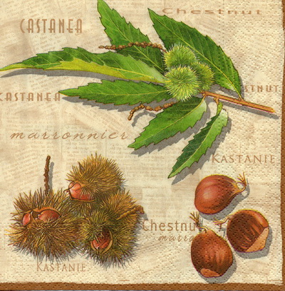 แนวภาพอาหาร ผลไม้ปีกแข็ง Chestnut บนพื้นครีม เป็นภาพแนวยาว กระดาษแนพกิ้นสำหรับทำงาน เดคูพาจ Decoupage Paper Napkins ขนาด 33X33cm