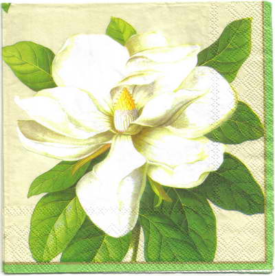 แนวภาพดอกไม้ ดอกแมกโนเลีย Magnolia ดอกใหญ่ เป็นภาพกระจายเต็มแผ่น กระดาษแนพกิ้นสำหรับทำงาน เดคูพาจ Decoupage Paper Napkins ขนาด 33X33cm