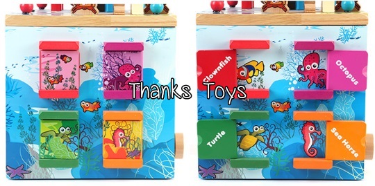 กล่องกิจกรรมสัตว์น้ำ