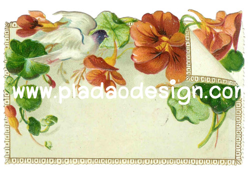 กระดาษสาพิมพ์ลาย สำหรับทำงาน เดคูพาจ Decoupage แนวภาำพ ภาพวาด ดอกไม้เลื้อย วางอยู่ยนกระดาษเขียนจดหมาย มีนกสีขาวบินดอมดมอยู่ (ปลาดาวดีไซน์)