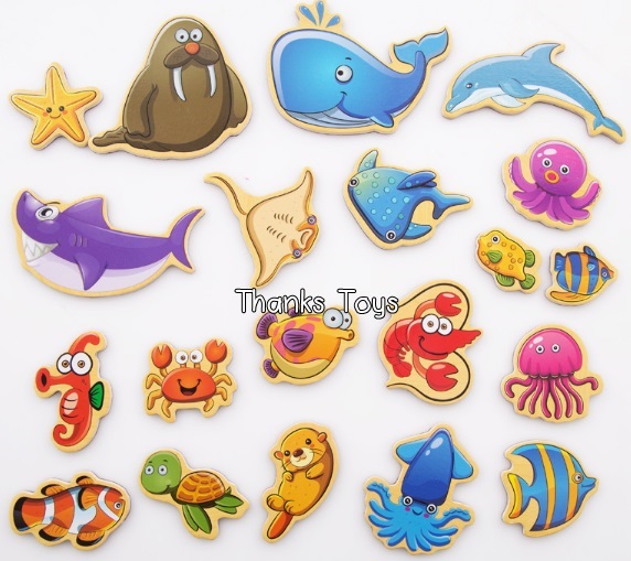 แผ่นภาพแม่เหล็กสัตว์น้ำ 20 ชิ้น (Aquatic Magnet)