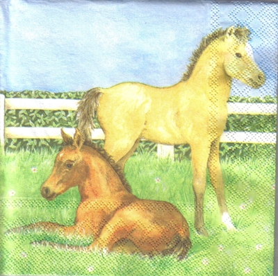 แนวภาพสัตว์ ม้าคู่ ในคอกม้า Horse Farm สัตว์ เป็นภาพแนวยาว กระดาษแนพกิ้นสำหรับทำงาน เดคูพาจ Decoupage Paper Napkins ขนาด 33X33cm