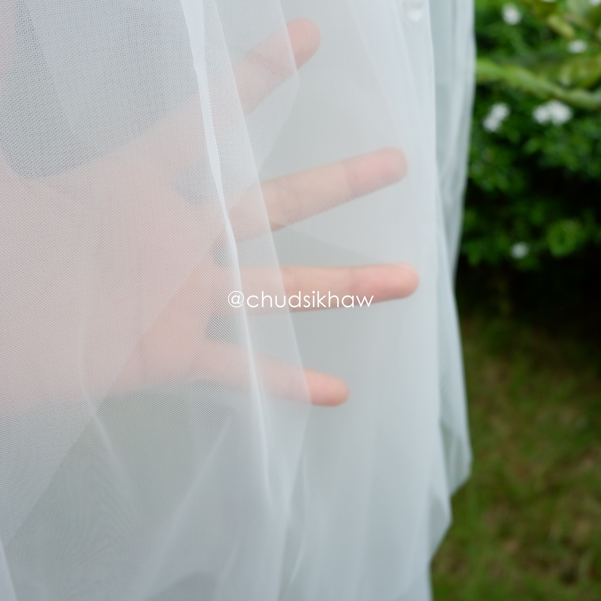 เวลเจ้าสาว Veil พร้อมดอกกุหลาบสีขาว เวลสีขาวออฟไวท์