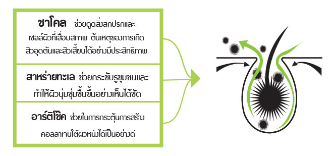 เซอรามายน์ แอคเน่ ไลค์ ไมตาเกะ พลัส อาร์ติโช๊ค แบล็ค เฮด โนส แบมบู ชาโคล มาส์ก