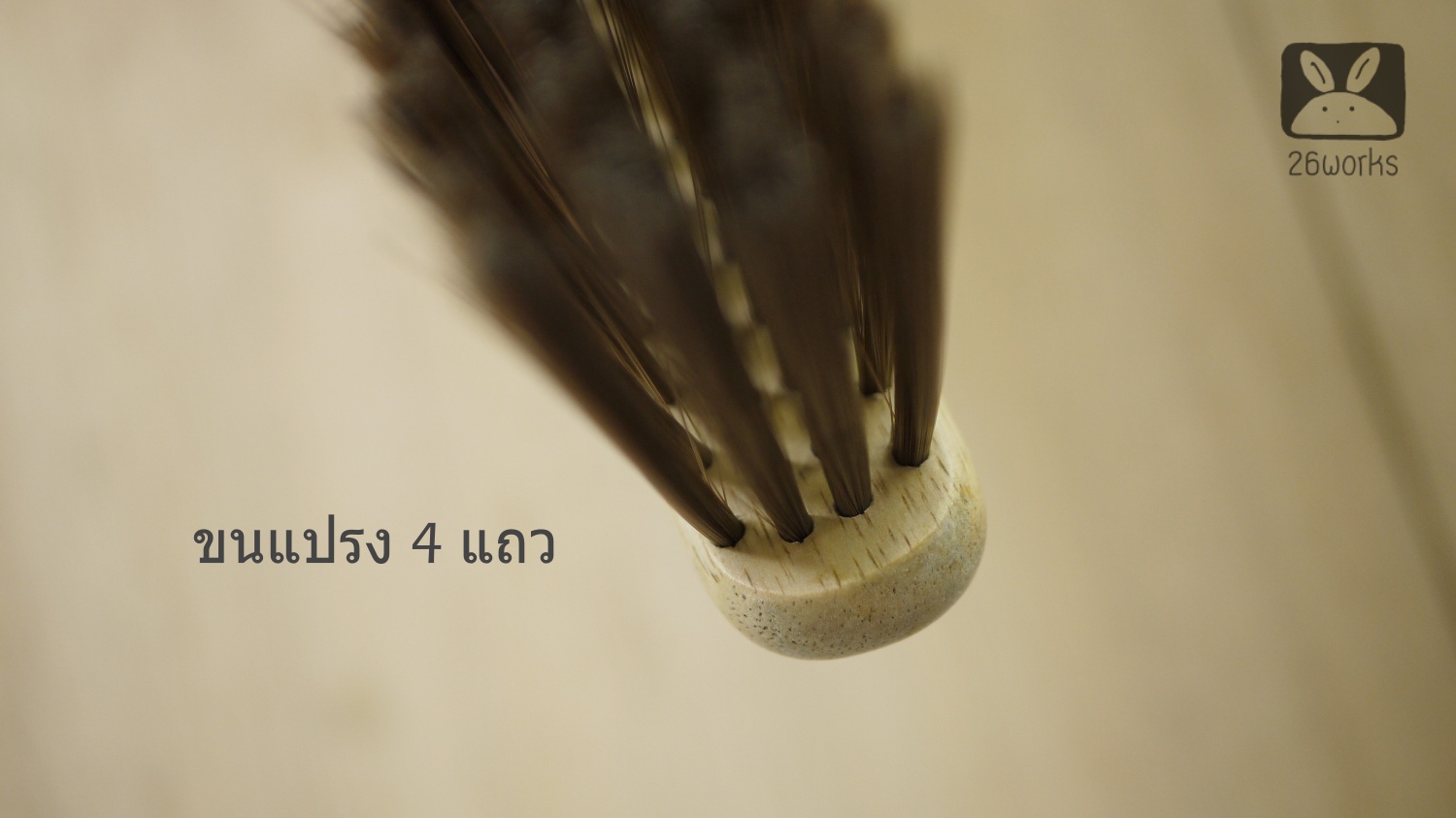 แปรงปัดฝุ่นด้ามไม้ ขนพลาสติก รุ่นประหยัด