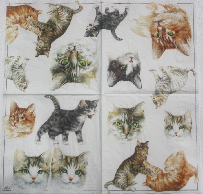 แนวภาพสัตว์ ภาพวาดลายเส้น แมว Cat เป็นภาพ 4 บล็อค 4 ภาพ กระดาษแนพกิ้นสำหรับทำงาน เดคูพาจ Decoupage Paper Napkins ขนาด 33X33cm