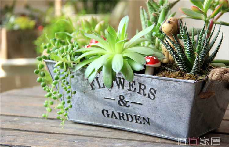 Pre-Order กระบะต้นไม้ สังกะสีปั้มลายนูน Flowers & Garden หูเชือกปอ มี 4 ทรง Zakka