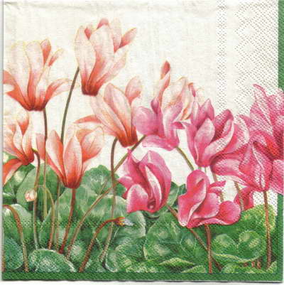 แนวภาพดอกไม้ ดอกไซคลาเมน ในทุ่ง Cyclamen เป็นภาพแนวยาว กระดาษแนพกิ้นสำหรับทำงาน เดคูพาจ Decoupage Paper Napkins ขนาด 33X33cm