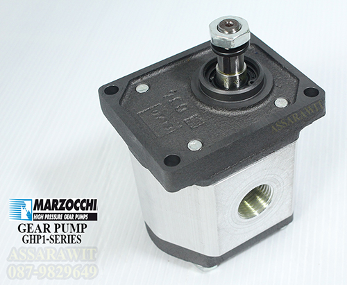 ปั้มเกียร์ไฮดรอลิค (Hydraulic Gear Pump) MARZOCCHI รุ่น ALP2