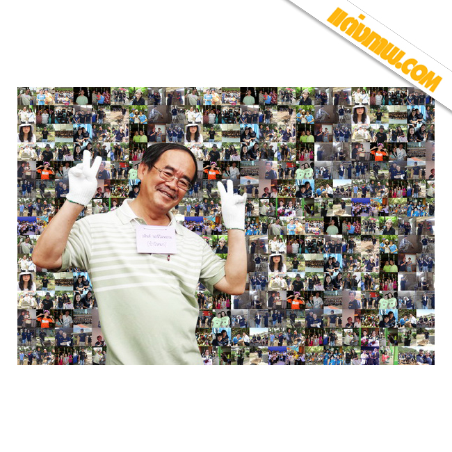mosaic ตัดตัว