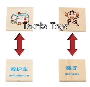 กล่องคำศัพท์มินิ Mini Category Box