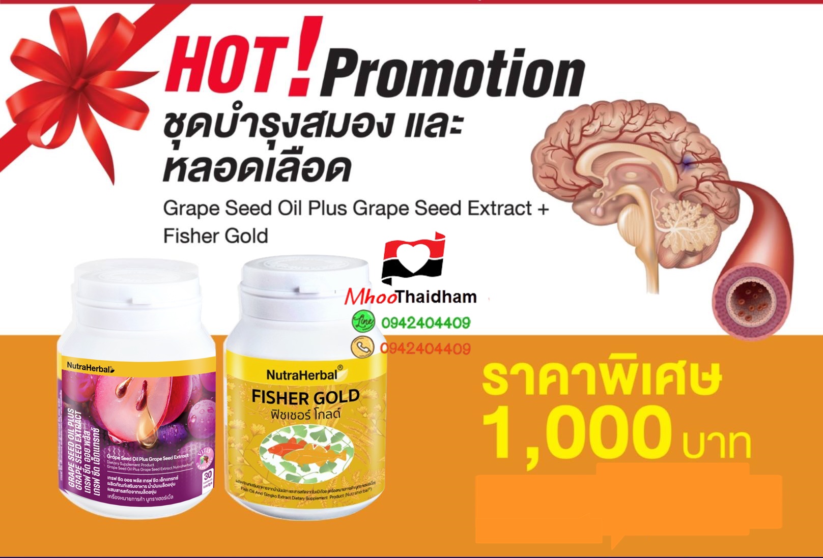 อาหารเสริมบำรุงสมอง ชุดบำรุงสมองและหลอดเลือด