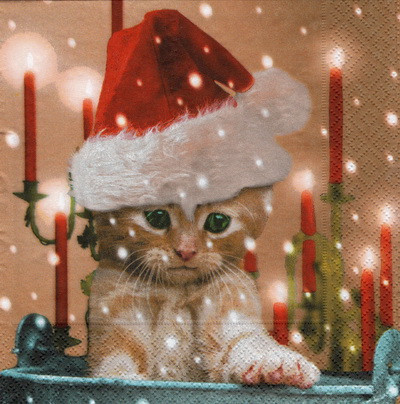 แนวภาพคริสต์มาส แมวใส่หมวกแซนต้า Cat Santa Hat เป็นภาพบล็อค 4 กระดาษแนพกิ้นสำหรับทำงาน เดคูพาจ Decoupage Paper Napkins ขนาด 33X33cm