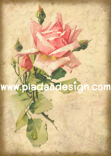 กระดาษสาพิมพ์ลาย สำหรับทำงาน เดคูพาจ Decoupage แนวภาำพ ภาพวาด กุหลาบสีชมพูอมส้ม ก้านใหญ่ กลีบงาม เป็นภาพแบบวินเทจ vintage (ปลาดาวดีไซน์)