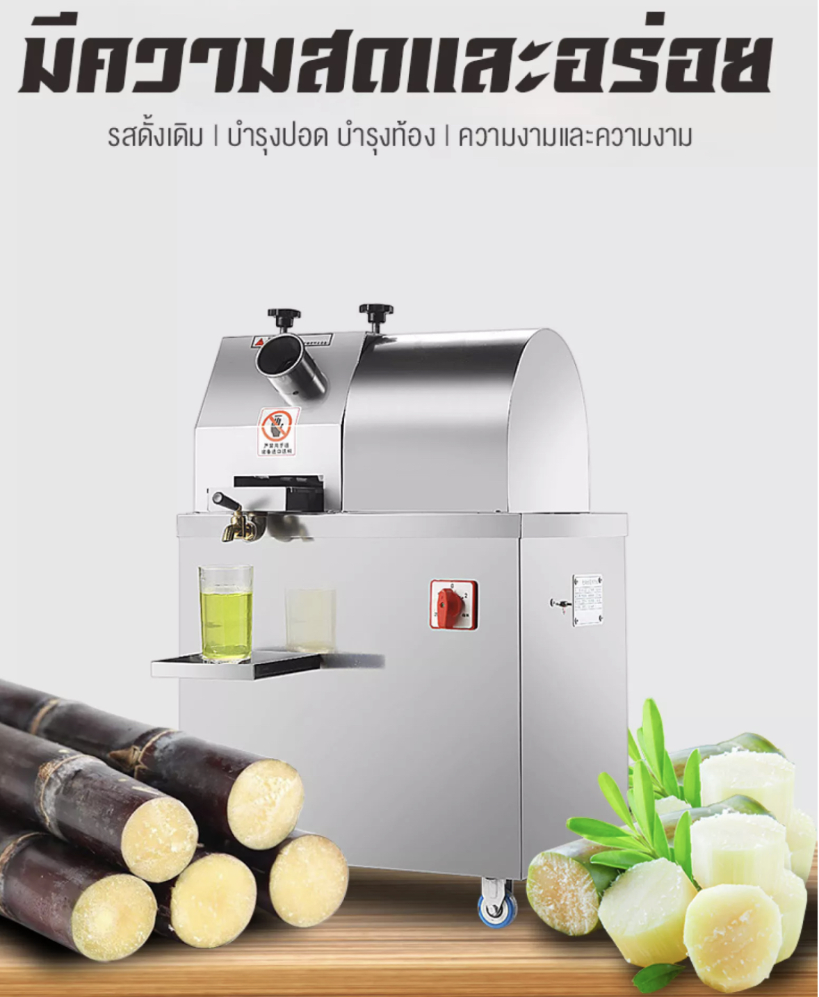 เครื่องคั้นน้ำอ้อย(รุ่นตั้งพื้น)