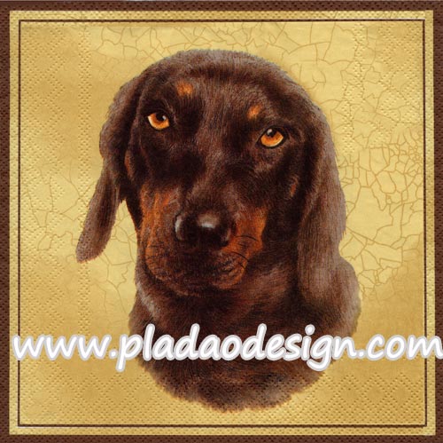 กระดาษสาพิมพ์ลาย สำหรับทำงาน เดคูพาจ Decoupage แนวภาพ สุนัข น้องหมาร๊อทไวเลอร์ ใบหน้าน้ำตาลดำ บนพื้นสีครีม