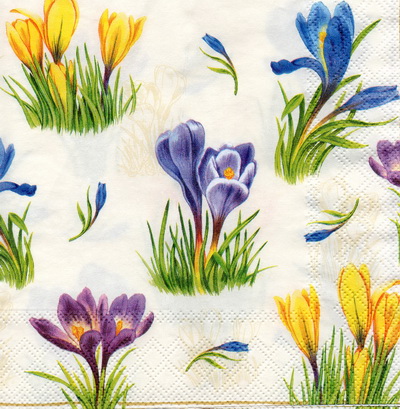 แนวภาพดอกไม้ ทุ่งดอกบัวดินฝรั่ง ฟ้า ม่วง เหลือง Crocus เป็นภาพครึ่งแผ่น กระดาษแนพกิ้นสำหรับทำงาน เดคูพาจ Decoupage Paper Napkins ขนาด 33X33cm
