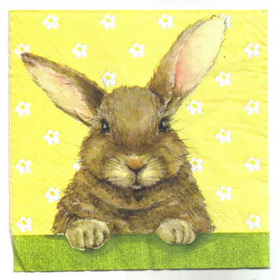 แนวภาพการ์ตูน กระต่าย Rabbit Watching เป็นภาพบล็อค 4 กระดาษแนพกิ้นสำหรับทำงาน เดคูพาจ Decoupage Paper Napkins ขนาด 33X33cm