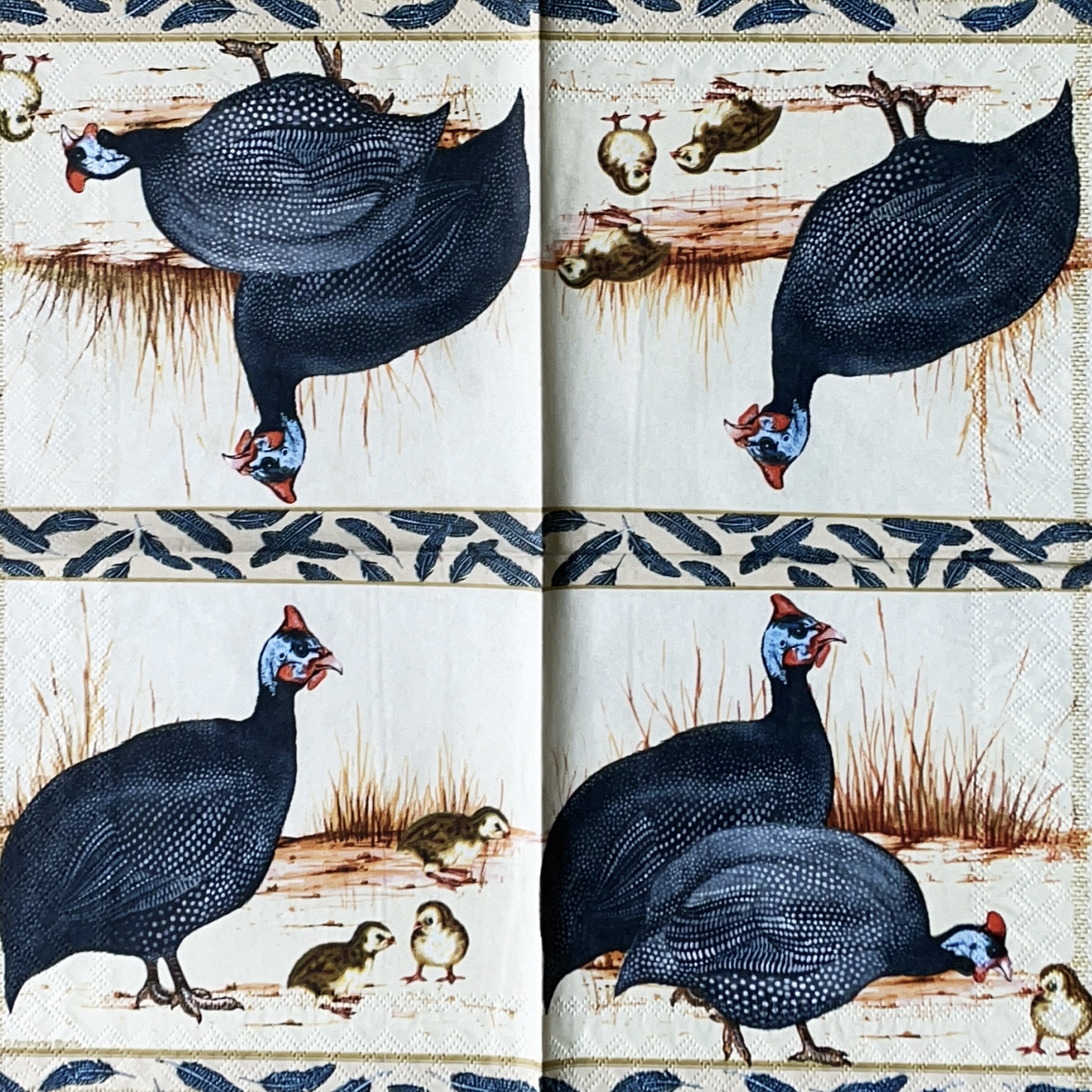 แนวภาพสัตว์ ไก่ต็อก หมวกเหล็ก Helmeted Guineafowl เป็นภาพแนวยาว กระดาษแนพกิ้นสำหรับทำงาน เดคูพาจ Decoupage Paper Napkins ขนาด 33X33cm