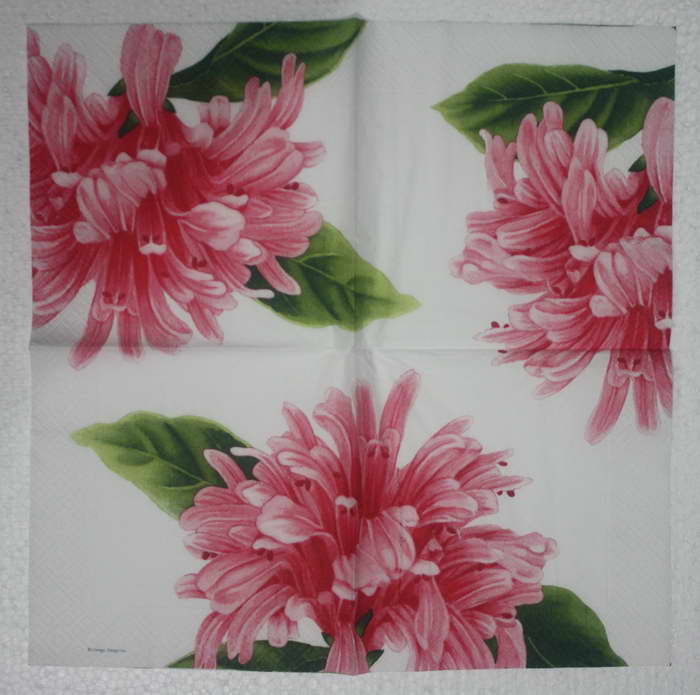 แนวภาพดอกไม้ ดอกโบตั๋น ขนาดใหญ่ Peony ป็อปอาร์ท เป็นภาพเต็มแผ่น กระดาษแนพกิ้นสำหรับทำงาน เดคูพาจ Decoupage Paper Napkins ขนาด 33X33cm