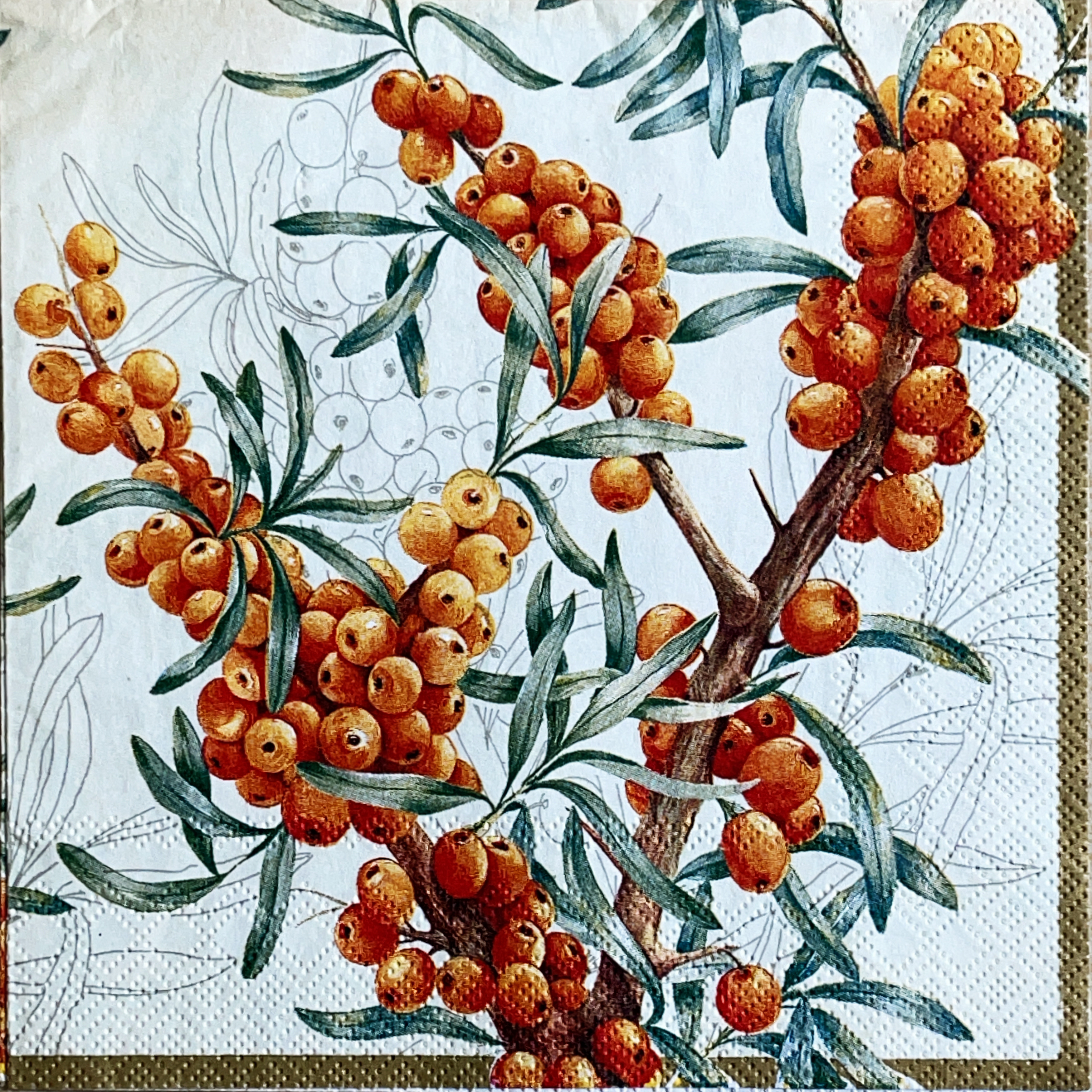 แนวภาพวินเทจ ผลไม้ Vintage Fruit กิ่งไม้ เป็นภาพแนวยาว กระดาษแนพกิ้นสำหรับทำงาน เดคูพาจ Decoupage Paper Napkins ขนาด 33X33cm