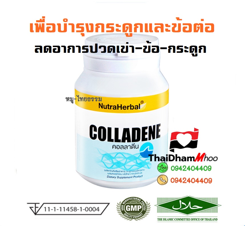 กระดูกอ่อนปลาฉลาม และคอลลาเจนแปปไตด์ บำรุงกระดูก ลดปวดเข่า ปวดข้อ ปวดกระดูก ป้องกันข้อเสื่อม เข่าเสื่อม