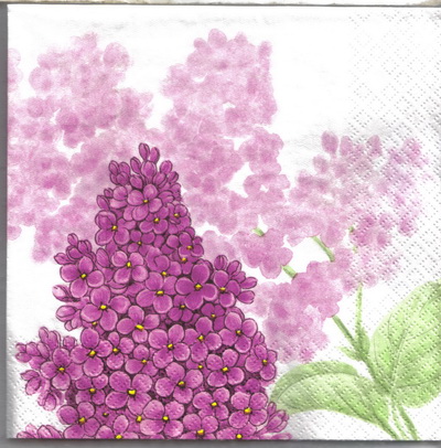 แนวภาพดอกไม้ ดอกไลแลค สีน้ำ Lilac เป็นภาพแนวยาว กระดาษแนพกิ้นสำหรับทำงาน เดคูพาจ Decoupage Paper Napkins ขนาด 33X33cm