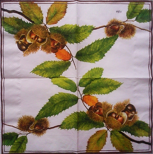 แนวภาพผลไม้ ลูกนัท Chestnut เป็นภาพเต็มแผ่น กระดาษแนพกิ้นสำหรับทำงาน เดคูพาจ Decoupage Paper Napkins ขนาด 33X33cm