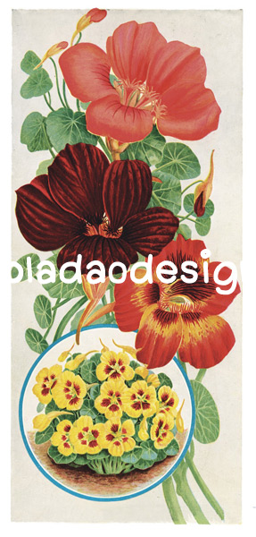 กระดาษสาพิมพ์ลาย สำหรับทำงาน เดคูพาจ Decoupage แนวภาำพ ภาพวาด ดอกชบา 3 โทนสี แดง ชมพู ม่วง (ปลาดาวดีไซน์)