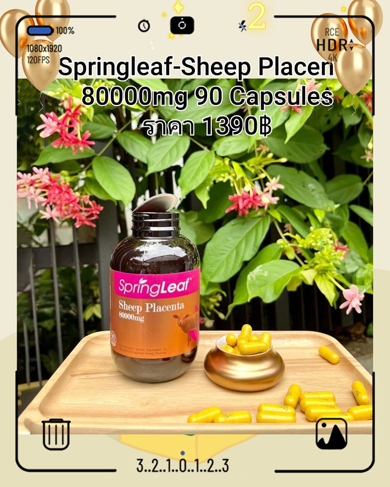 รกแกะลดฝ้า กระ ด่างดำ Springleaf-Sheep Placenta 80000mg 90 Capsules