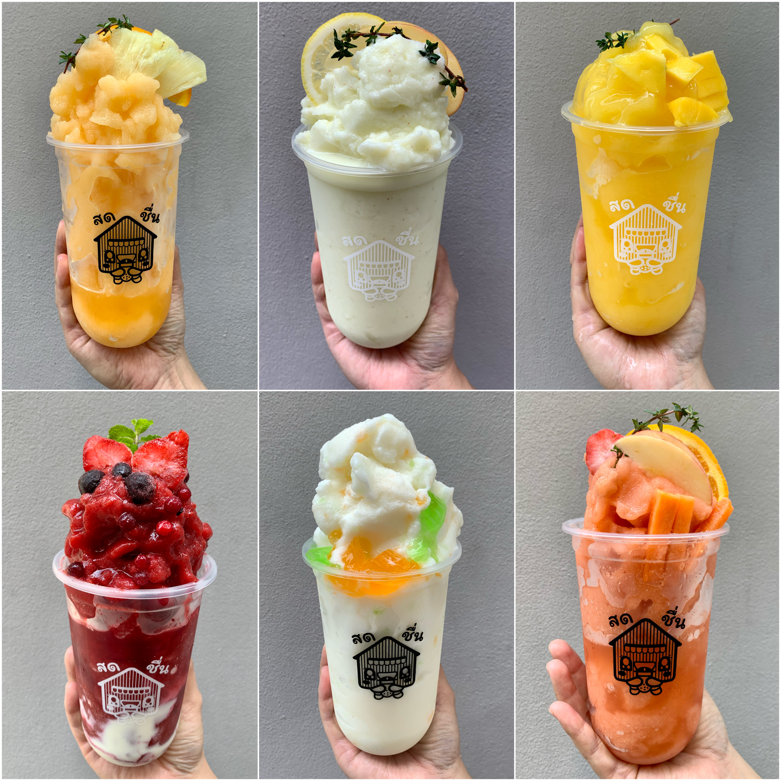 ชุดเปิดร้านน้ำผลไม้ปั่น สมูทตี้ smoothies